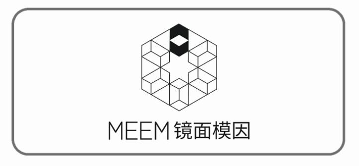 MEEM镜面模因